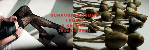 кокс Алексин