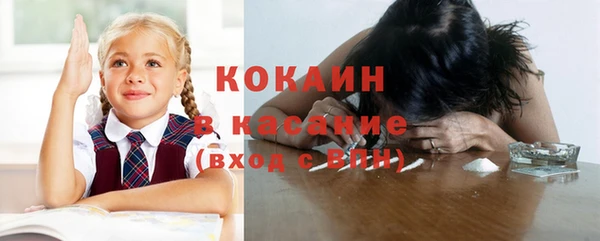 мдпв Гусь-Хрустальный