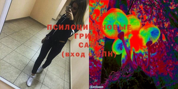 mix Козельск