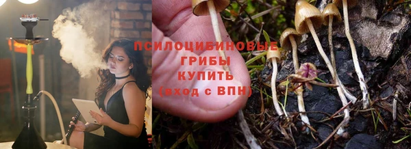 бошки Алексеевка
