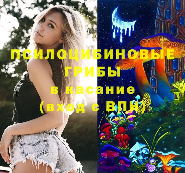 молекула духа Абинск