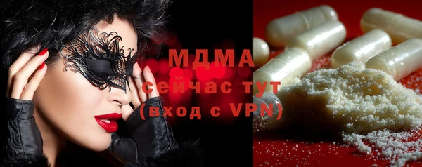 spice Гусев