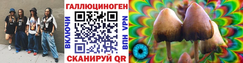 где найти наркотики Лангепас darknet телеграм Псилоцибиновые грибы Psilocybine cubensis
