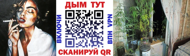 продажа наркотиков Лангепас Конопля ГИДРОПОН